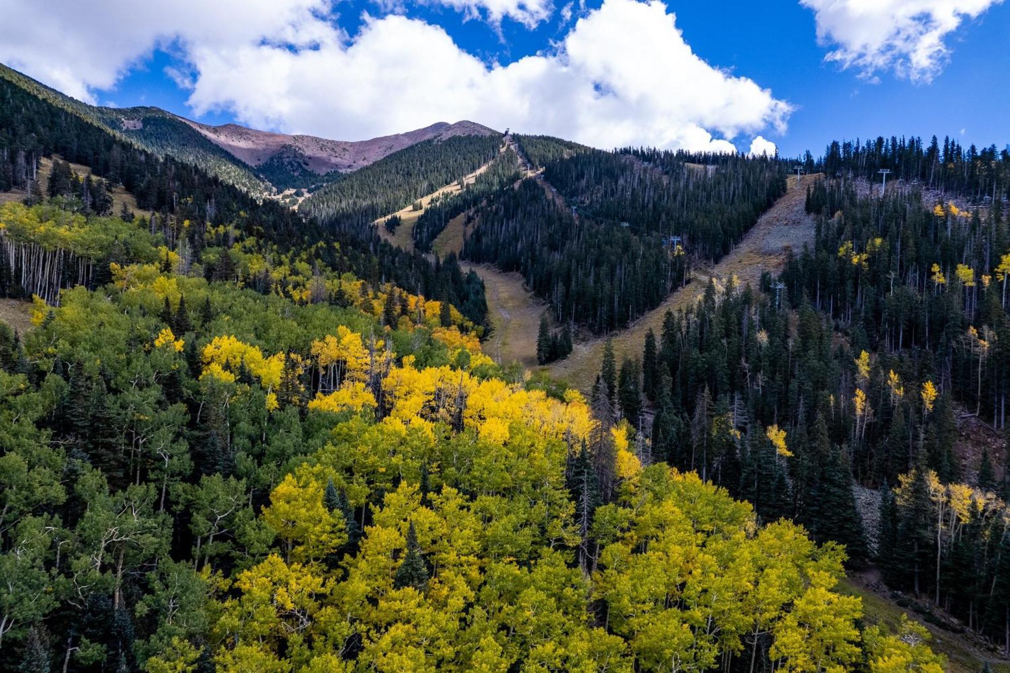 Готель Voco Flagstaff By Ihg Екстер'єр фото